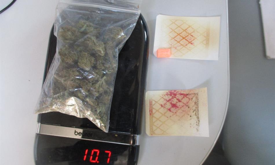 2019-7-15-635Záchyt drog 3, marihuana.JPG